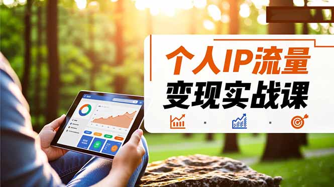 个人IP流量变现实战课，涵盖多平台引流、打造个人IP并实现稳定流量变现-摇钱树
